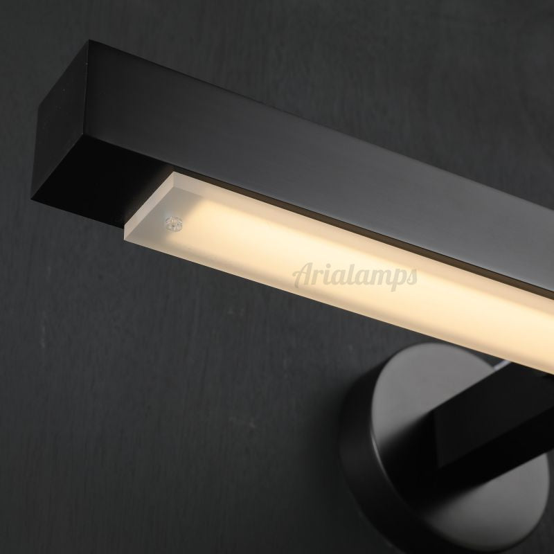 Caius Modern LED Picture Light