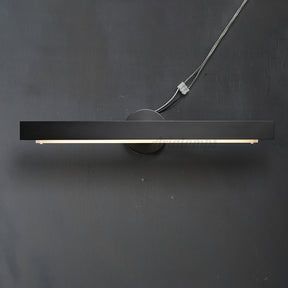 Caius Modern LED Picture Light