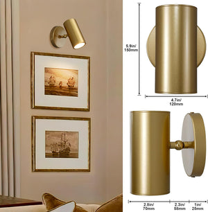 Gold Brass Picture Light Sconce with Adjustable LED, Wall Mount