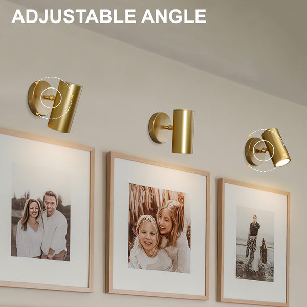 Gold Brass Picture Light Sconce with Adjustable LED, Wall Mount