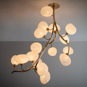 Modern Chandelier with Irregular Glass Lampshades and Brass Branches-Arialamps